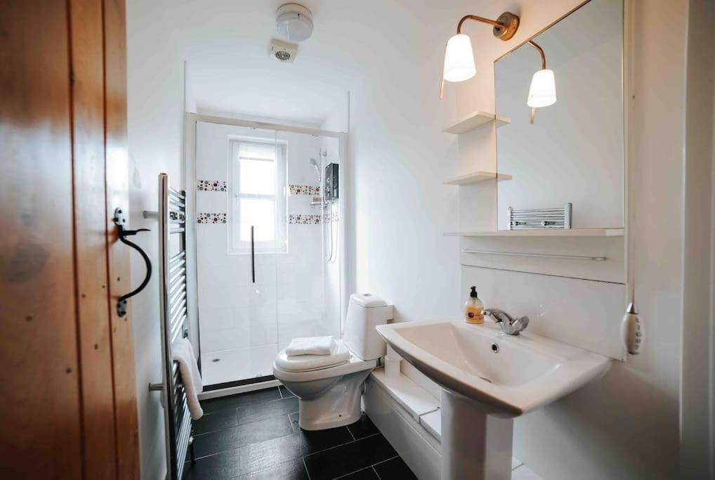 13 Tabernacle Str - Bear Holiday Homes Aberaeron Eksteriør billede